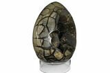 Septarian Dragon Egg Geode ( Lbs) - Black Crystals #124502-1